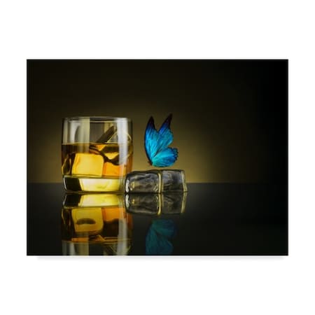 Jackson Carvalho 'Butterfly Drink' Canvas Art,24x32